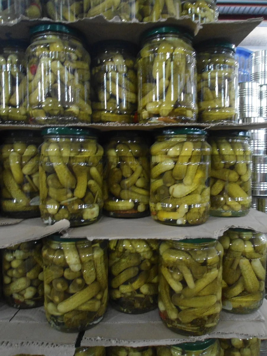 HOT SALE CANNED PICKLED BABY CUCUMBER FOOD ORIGIN VIETNAM IN GLASS JAR WITH BIG QUANTITY FOR BUYER