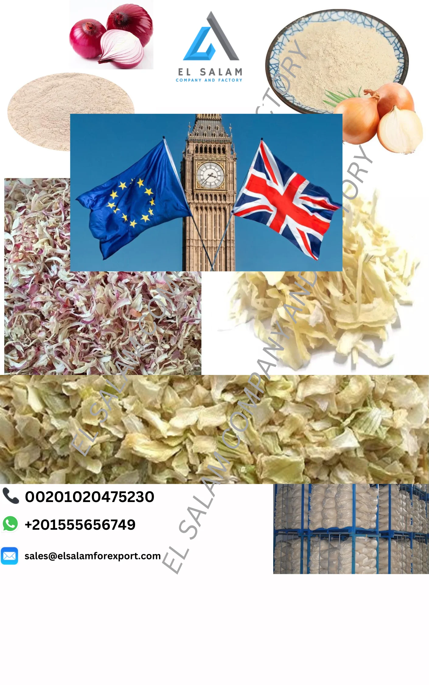 Dehydrated  Onion, Powder, Flakes, Minced, Kibbled For Wholesale