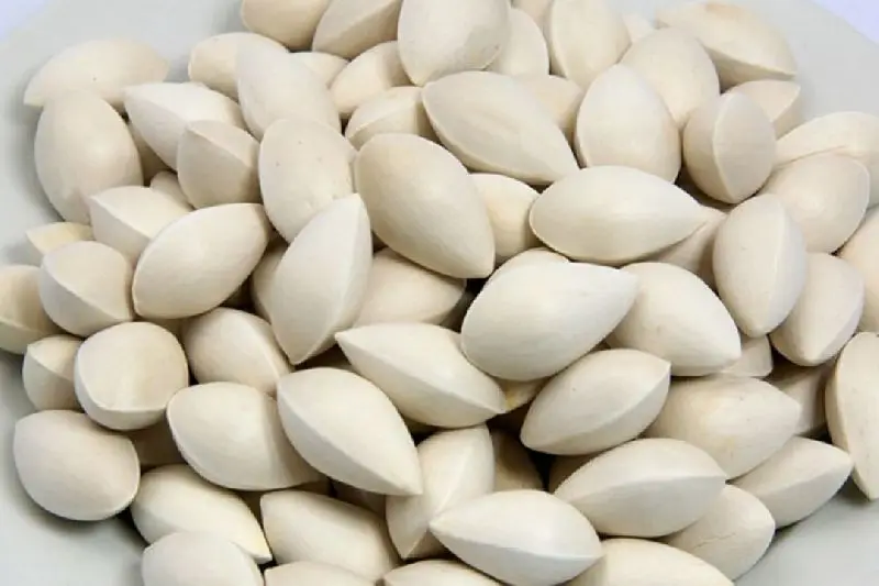 ginkgo Nuts Good Price For Sale