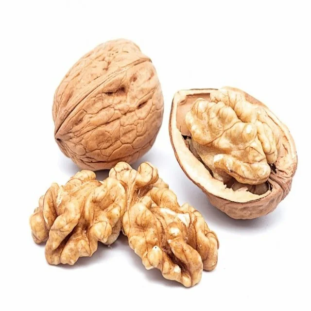 Wholesale highest grade Walnut With Shell and Without Shell in bulk dried organic Walnut available for sale at best price