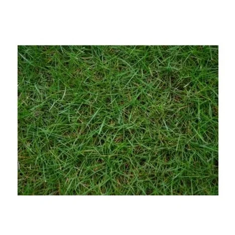 Quality Timothy Hay Quality Alfalfa Hay/ Timothy Hay and Lucerne Clover in Bales/Bermuda Orchard Grass Oat Hay