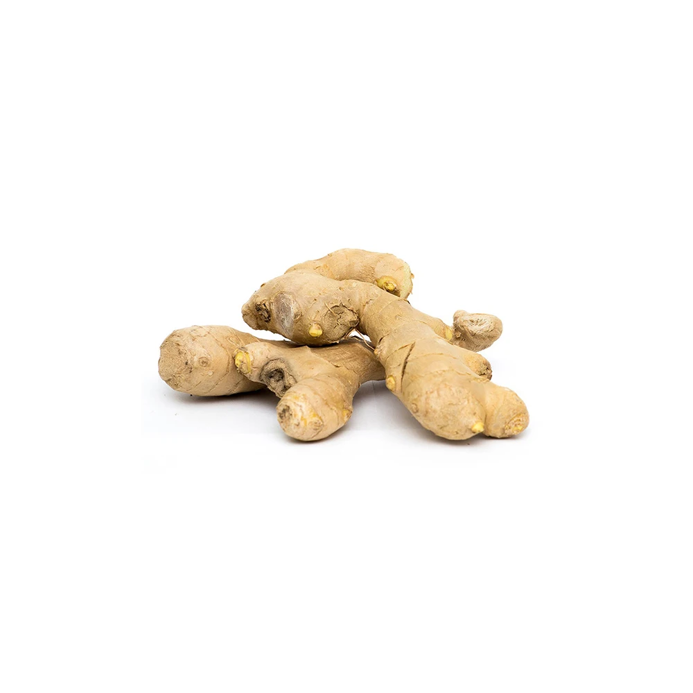 Good Quality Ginger Available At Indian Manufacturer