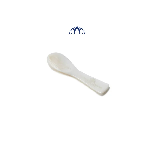 Conch Seashell Spoon Caviar for Export