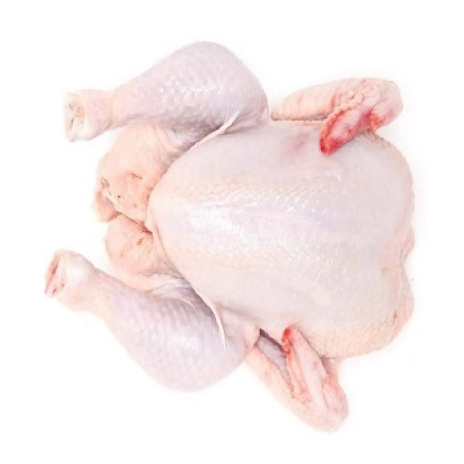 Popular factory chicken breast best price frozen chicken poultry chicken