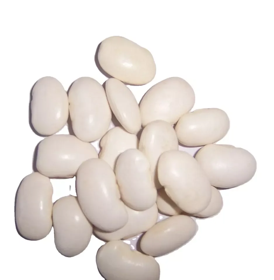 White   Kidney Beans from Egypt