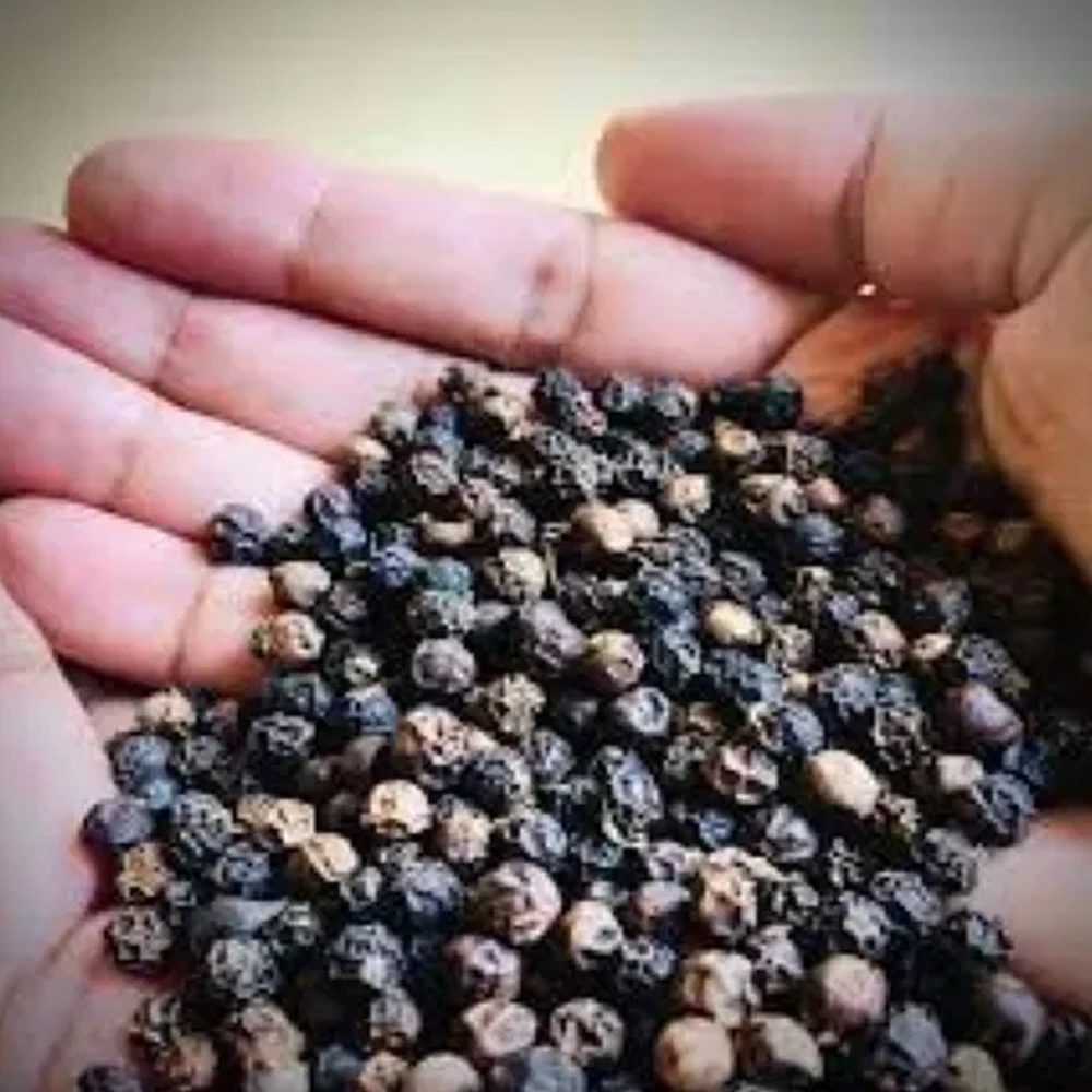 Wholesale Custom Factory Wholesale New Crops 100% Pure Natural Rich Flavor Single Spice High-quality Black Pepper For Sale