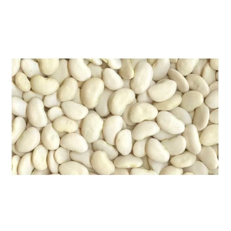 По оптовым ценам от поставщика оптового свежий запас большой Лимская