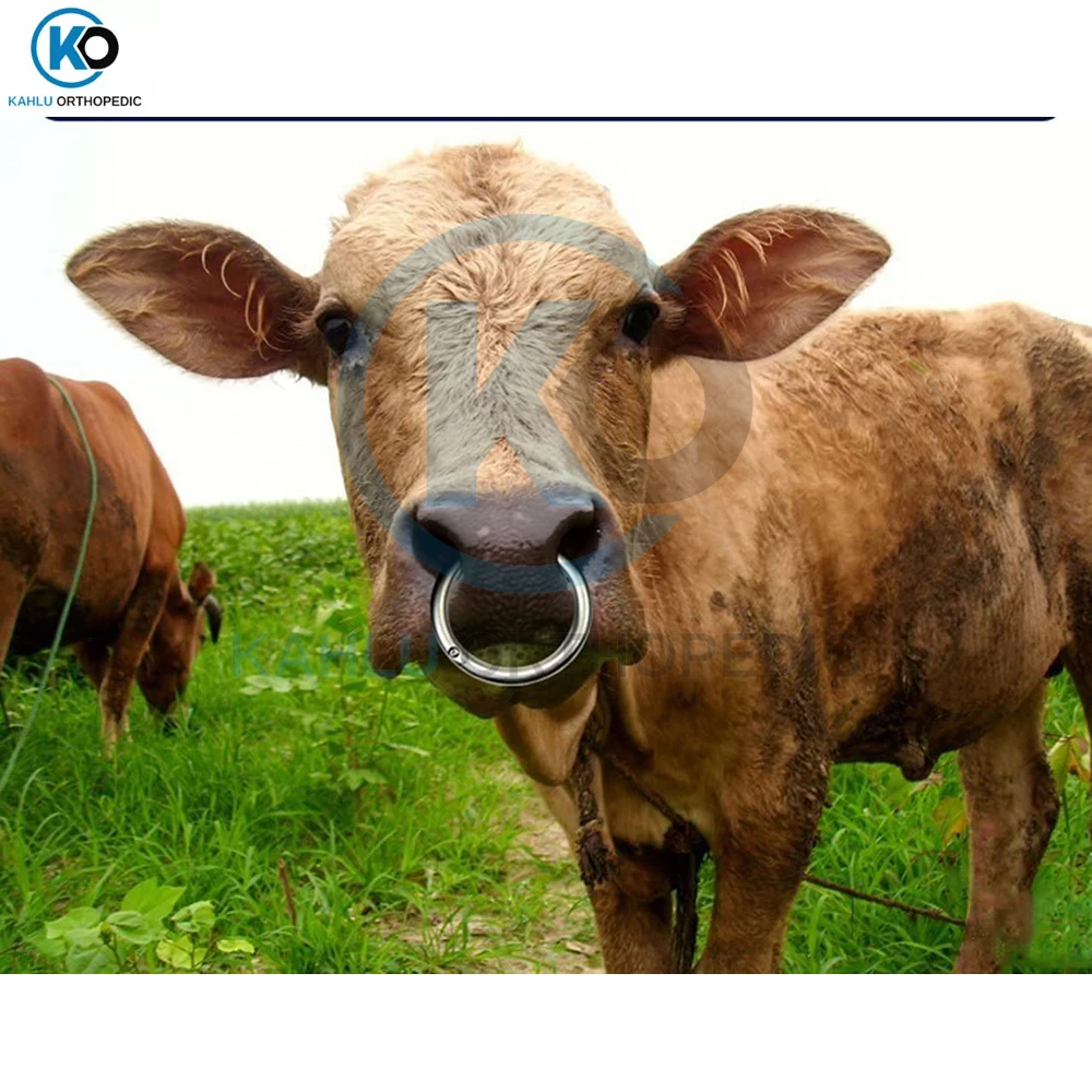 Farm & Ranch Cattle Leader Bull Nose Ring Hoop Clip Large Medium Customize Cow Livestock Instruments By KAHLU ORTHOPEDIC