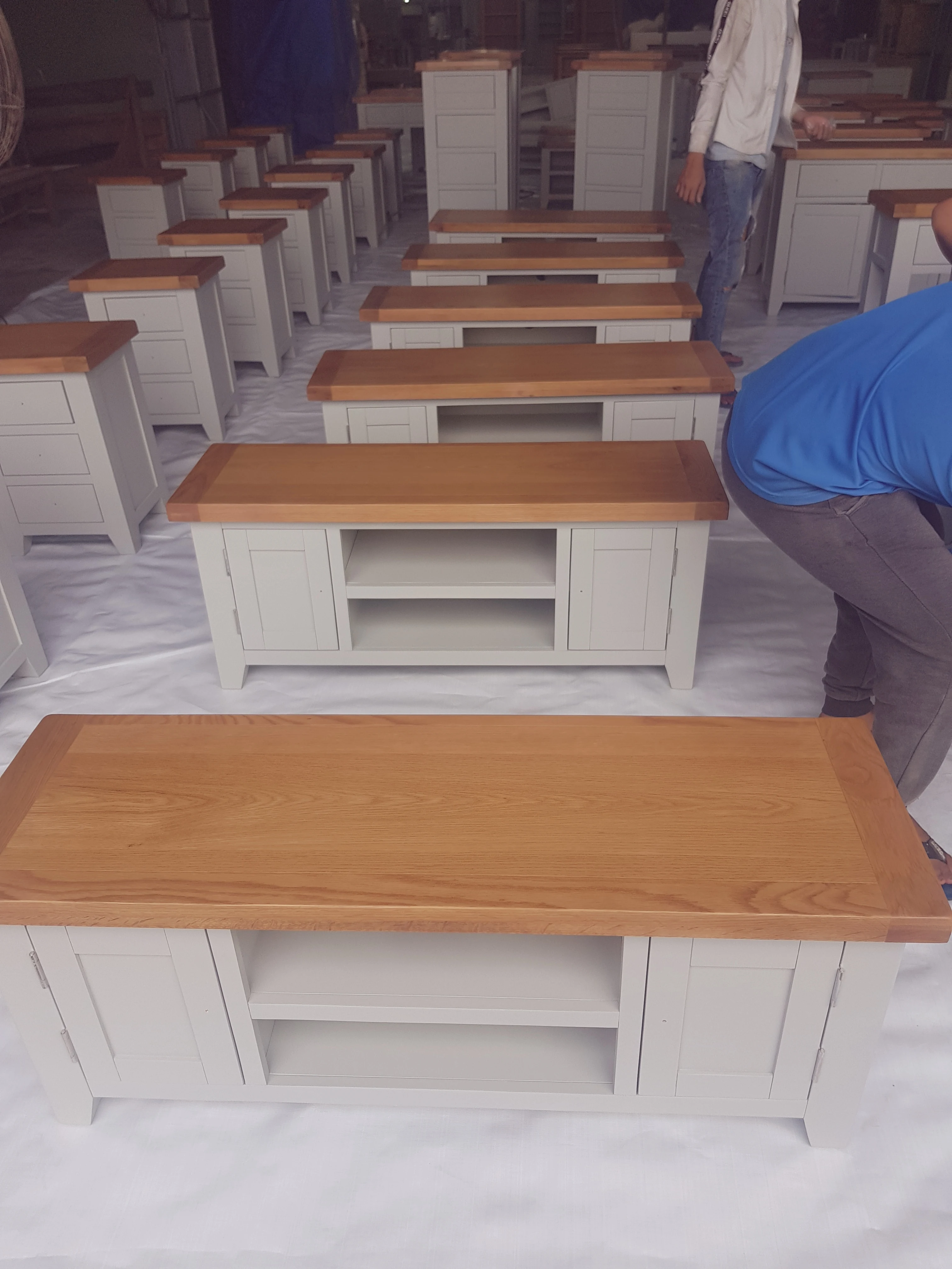 Физиоактивные элементы