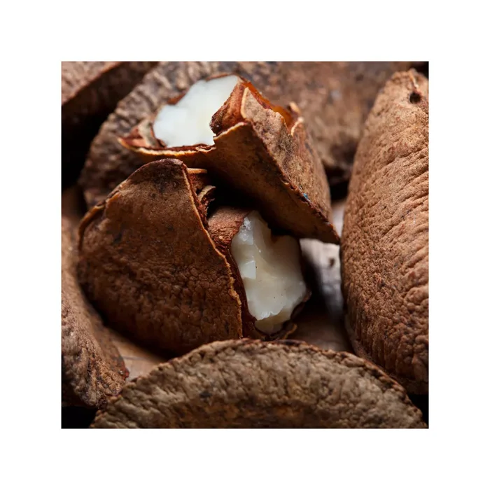 High Quality Brazil Nuts Wholesale Natural Peru 100% Pure Raw Premium Brazil Nut Bulk Best Nuts