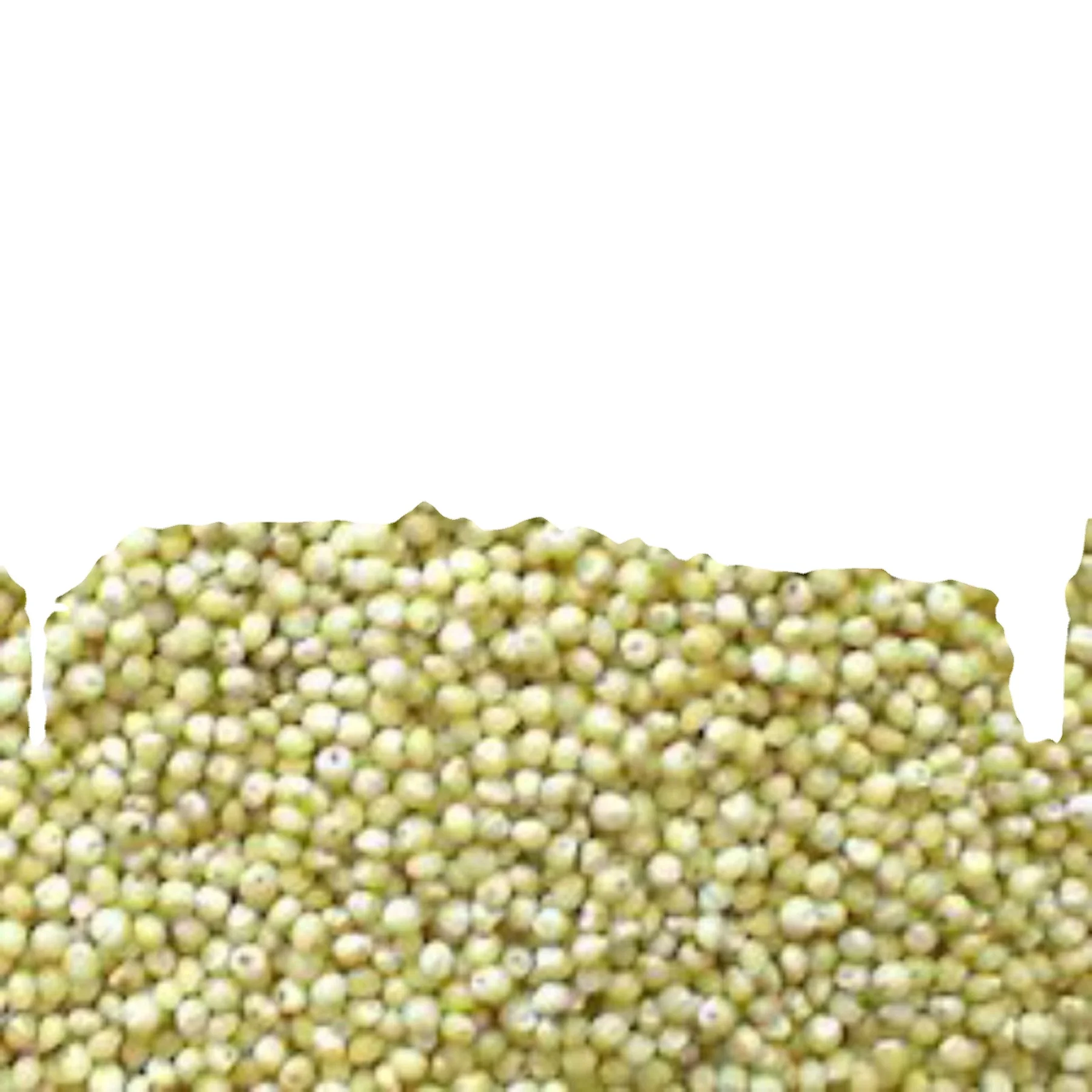 Natural  green millet yellow millet bajra Indian origin feeds