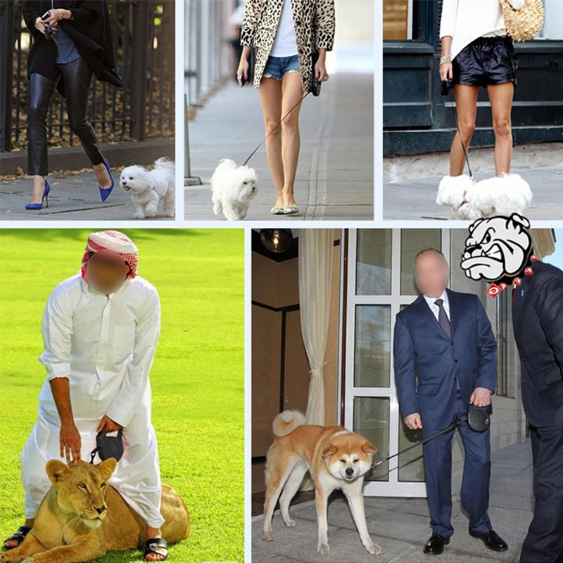 Large Dogs Pet Supply Retractable Dog Leashes Automatic Flexible Puppy Cat Strong Nylon Extending Rope Collar Lead