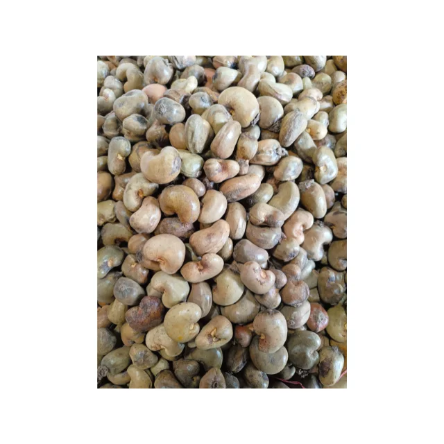 Лидер продаж сырые орехи кешью из StarLab собранные прямо в саду по хорошей цене