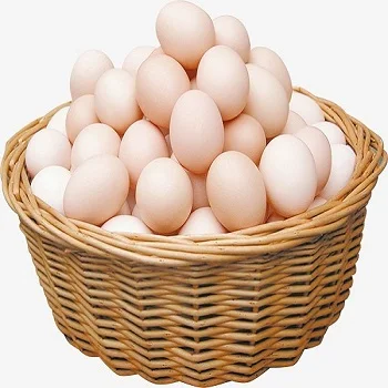 Fresh Chicken Table Eggs For Bulk Consumption