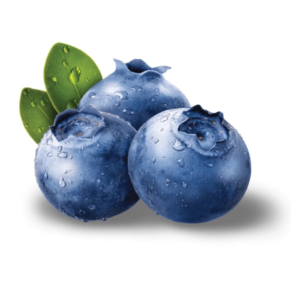 Best Price Organic Fresh Blueberries Fruit Available For Sale
