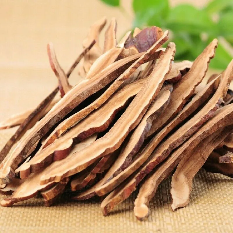 Dried Vietnam Wild Red Reishi Mushroom- Ganoderma Lucidum Slices for Making Tea