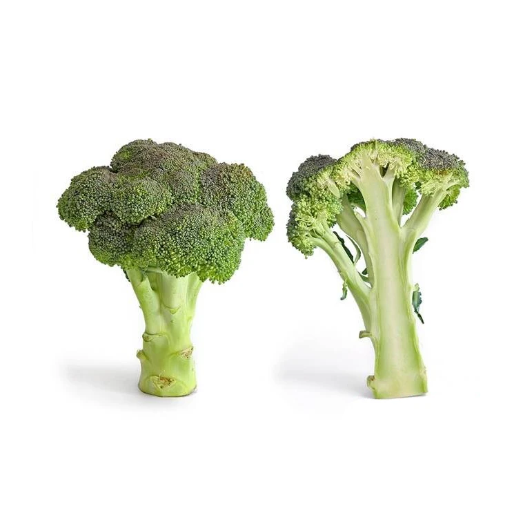 Good Quality Wholesale Fresh Broccoli Hot Sale High Quality Fresh Broccoli Factory Low Price Broccoli