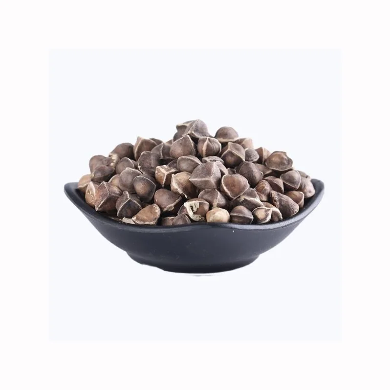 Good Quality Moringa Seeds and moringa Seeds