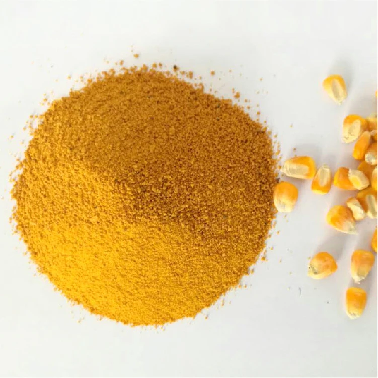 Corn gluten meal/ Yellow Corn Maize Grains for Animal Feed wholesale price