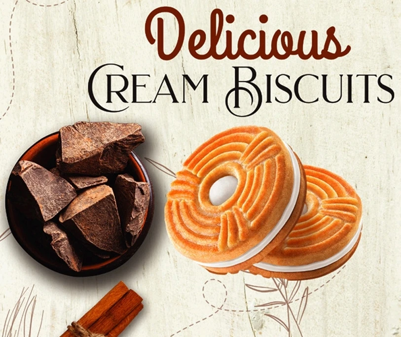 DELICIOUS DROP CHOCOLATE CHIP  BUTTER BISCUITS COOKIES CRISPY  SWEET MADE IN TURKEY