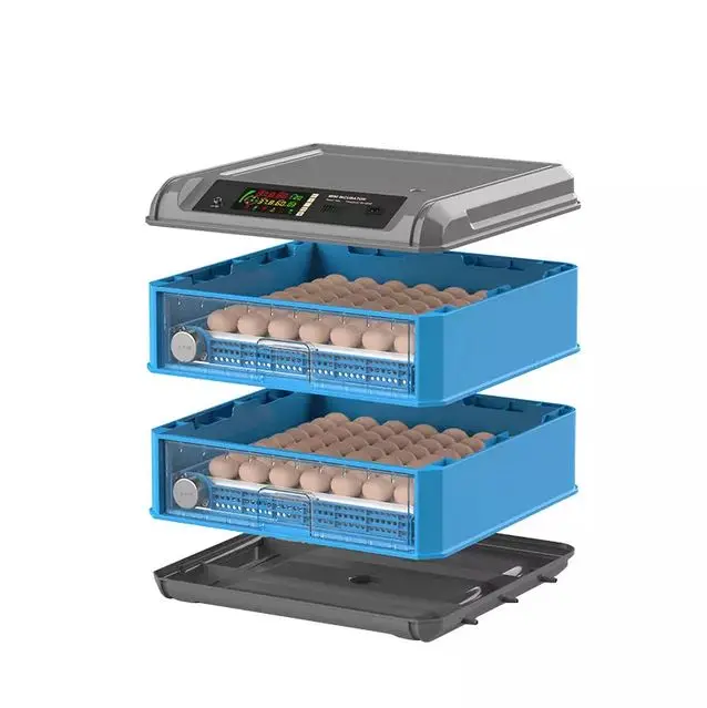 Hot Sale Chicken Eggs Ostrich Eggs, Chicken Eggs, Turkey Eggs Fresh Table Eggs Brown And White Farm F