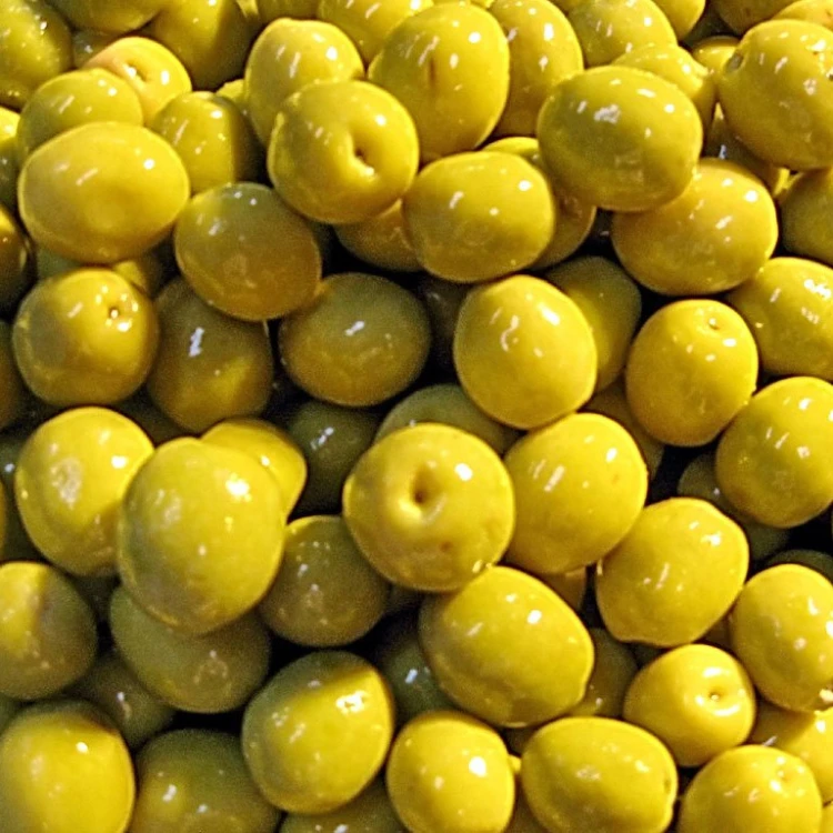 BEST FRESH OLIVE FRUITS