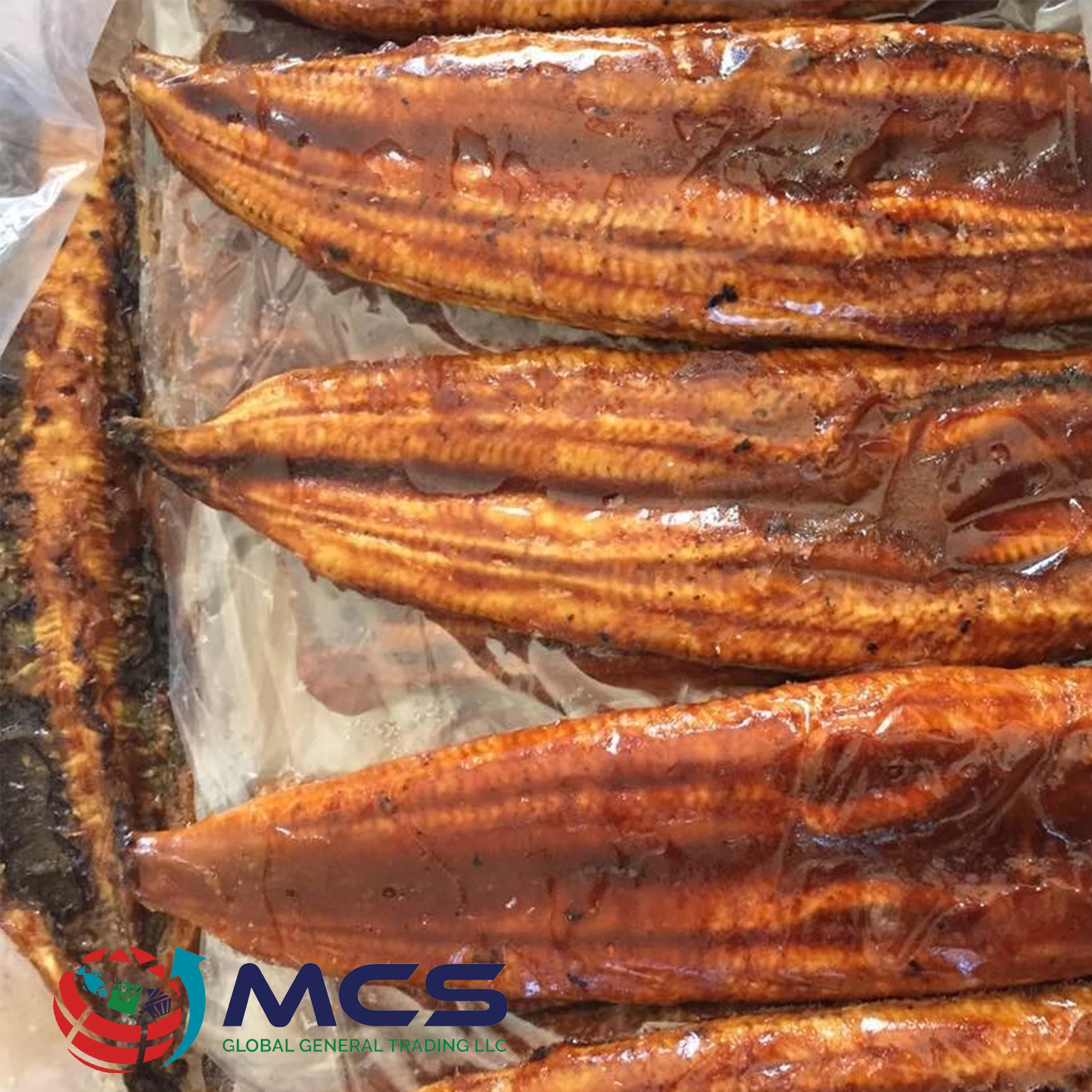 Our company provide the best quality halal conger Eel fish at the lowest price from us Cheap Wholesale in reasonable price