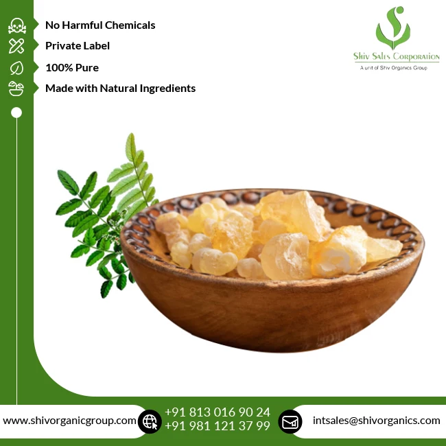 Highest Quality Wholesale Supply Pure and Natural Therapeutic Grade Boswellia Serrata Herbal Extract from Indian Exporter