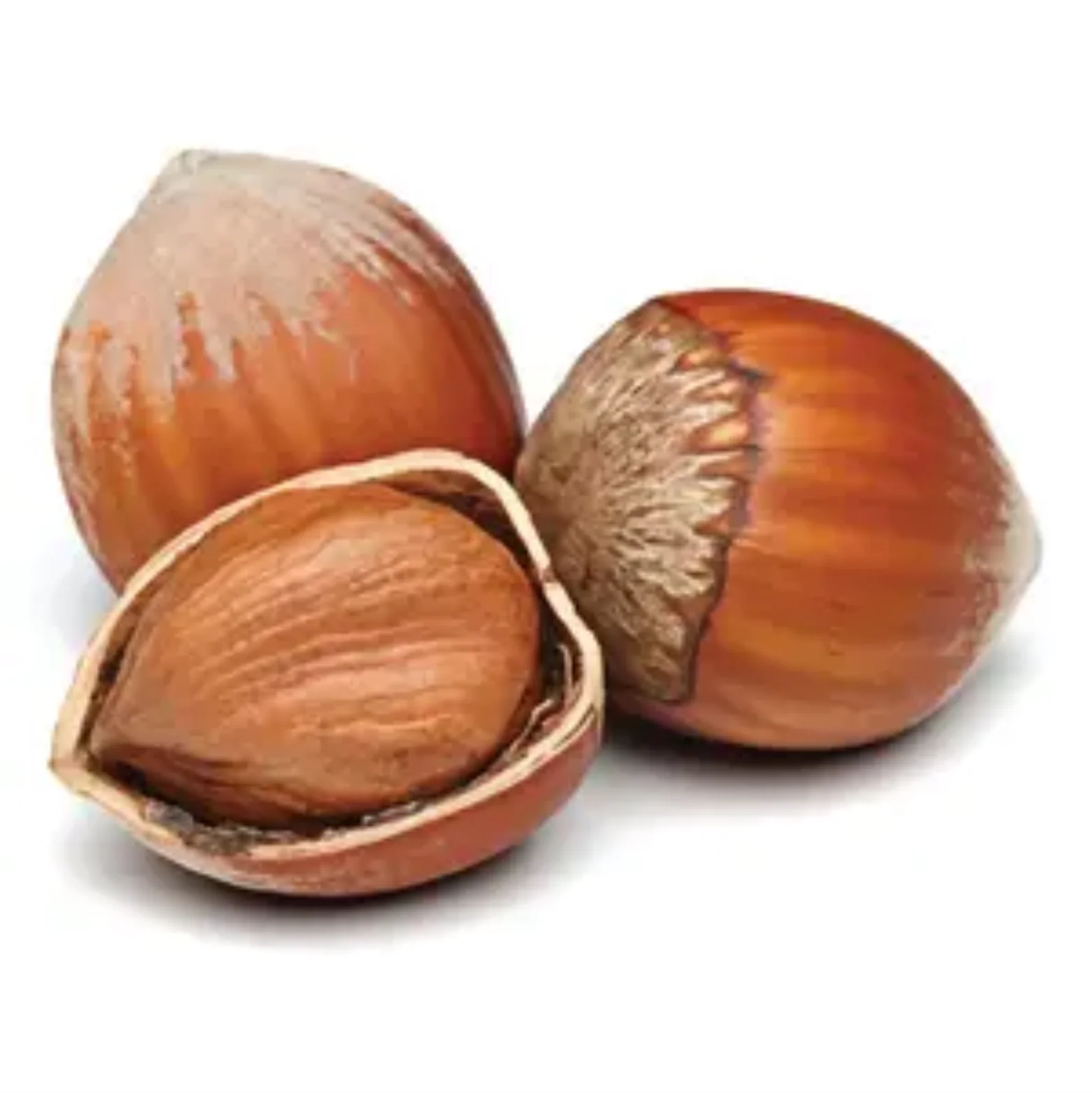 Suppliers Roasted Hazelnut  Dry Hazelnuts for Sale OEM Shell Box Style Packaging FOOD Organic Color