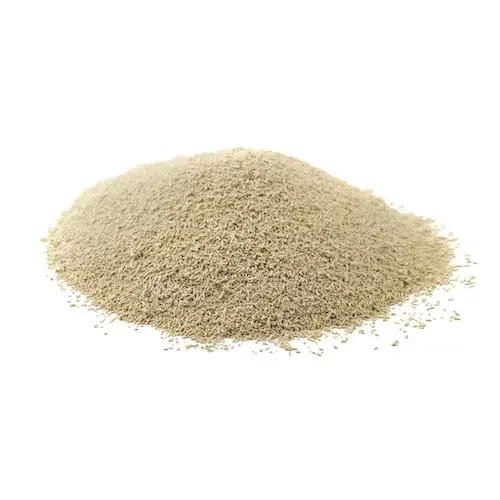 Beer Yeast Extract for Industrial Fermentation and Food Ingredient to Enhance Flavor
