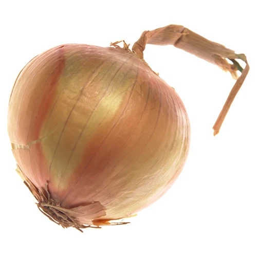 25-kg-fresh-onion.jpeg