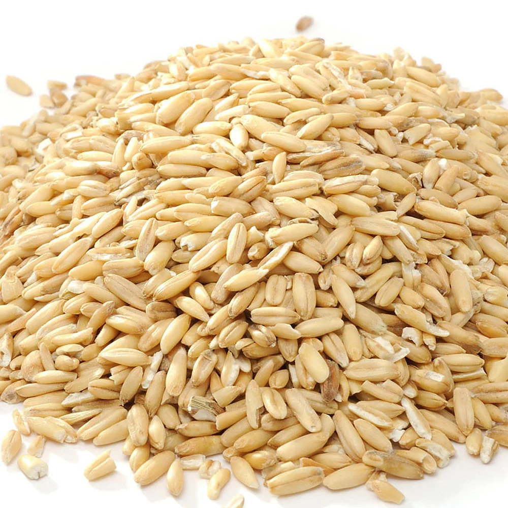 Best Price Barley Grains Premium Barley Seeds Buy Now In Stock Low Price Malted Barley Fast Delivery Wholesale Available