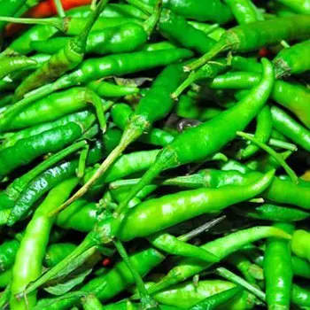 Thai Fresh Green Chilli From Thailand (Very Spicy, Fresh, Smell good, Best quality, Export grade)
