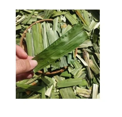 Горячая Распродажа, свежие листья пандана, высушенные листья пандана высокого качества из Вьетнама