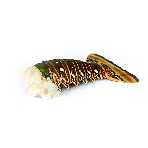 Frozen Fresh Live Green Lobster - Alive Bamboo Lobster - Live spiny lobster for sale