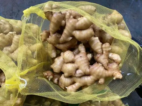 Хорошее качество, старый свежий имбирь из Тайана, прямая ферма имбиря