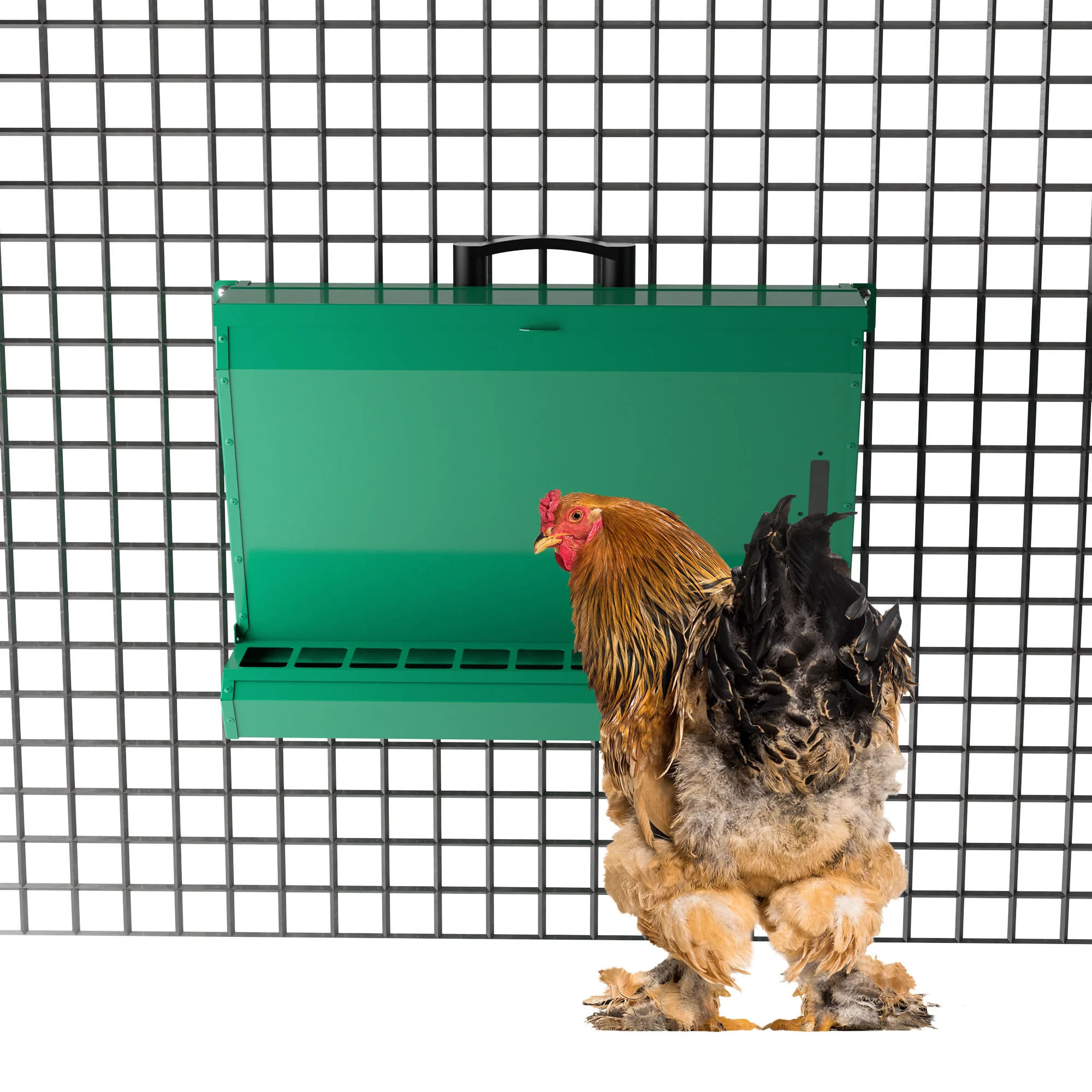 12 kg Chicken Feeder Poultry Feeders for Farm/Home Use fast shipping to Europe