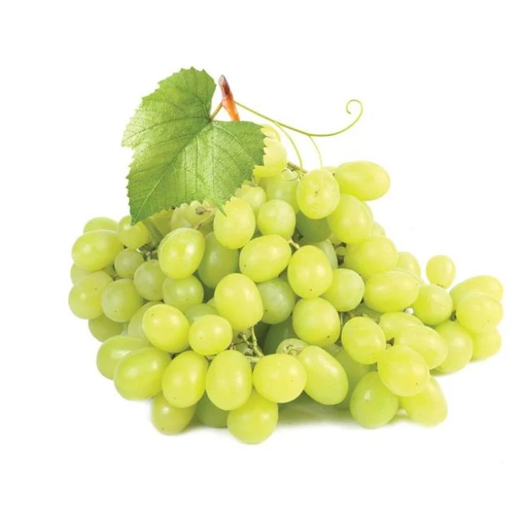 Fresh Grapes, Seedless Grapes Supplier