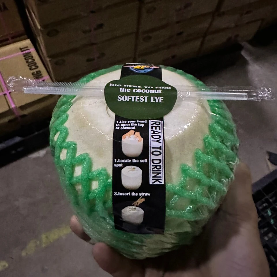 Fresh Coconut Easy To Open WITH PUSH BOTTON AND STRAW Type Wholesale Orders Produced In Vietnam
