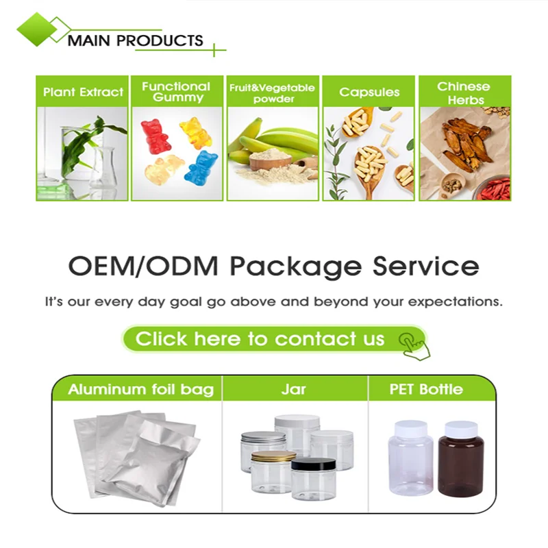 Best quality Seabuckthorn Seed Oil Berries Hippophae Rhamnoides Extract Fruit Seeds Dried Sea Buckthorn Powder