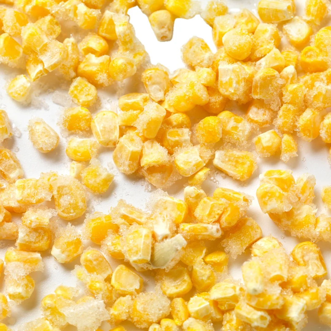 Best Quality IQF Frozen Sweet Corn with Best Price from Vietnam OEM 2 years Shelf Life Certified