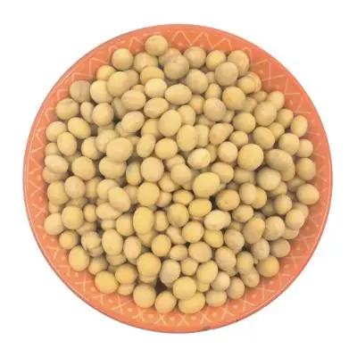 Wholesale Organic Non-Gmo Soyabean Yellow Soybean Soja Soya Beans