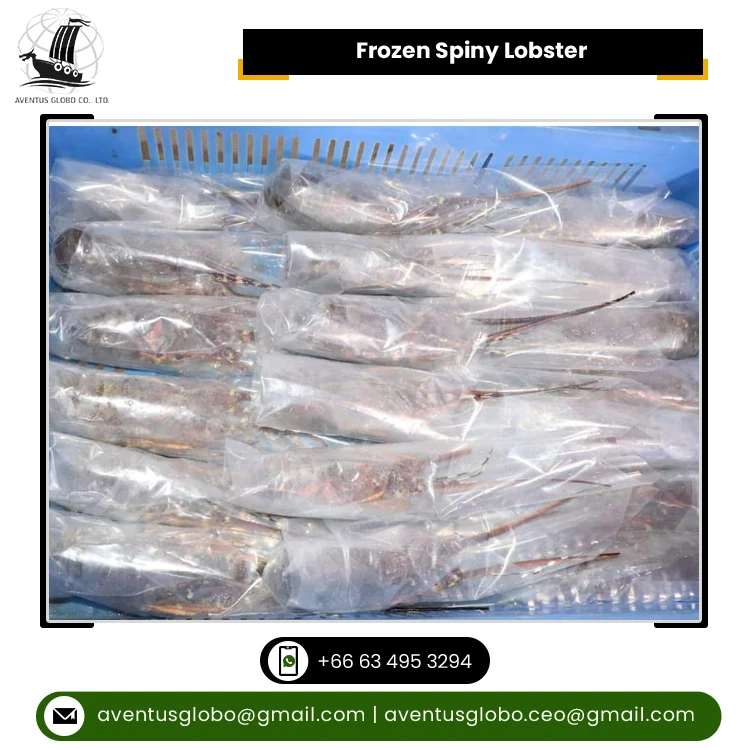 Thailand Origin Supplier of Highly Nutritious Seafood Whole Round Cooked Frozen Spiny Lobster at Reliable Market Price