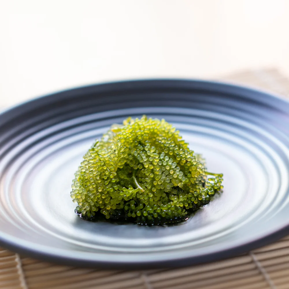 Premium Organic Umibudo Sea Grapes Dried Nori Seaweed Dehydrated with No Additives Preservatives Hidden Sugars Easy to Use
