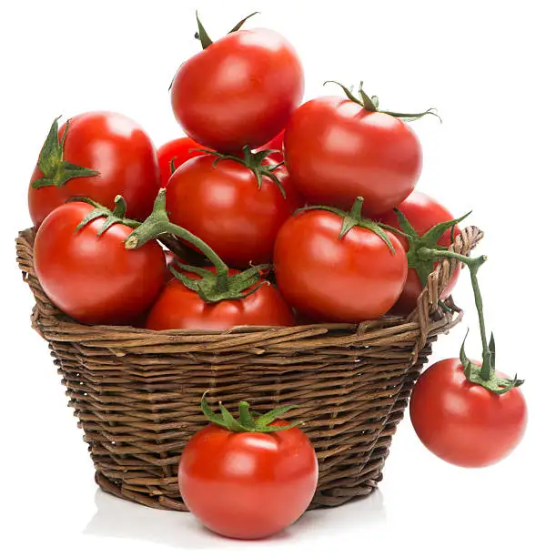 High Quality Best Taste Wholesale Organic Bulk Attractive Red Tomatoes %100 Natural Delicious From Indian Supplier