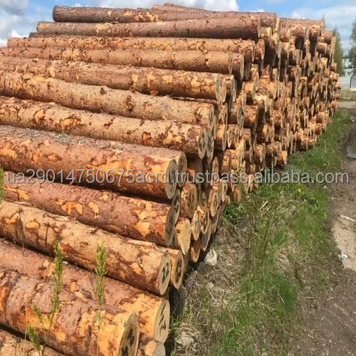 Pine Spruce Saw Logs1.jpeg
