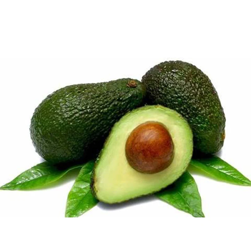 Wholesale Healthy Premium Avocado from Mexico Fresh from MX - High Quality Best Price Directly from Producers