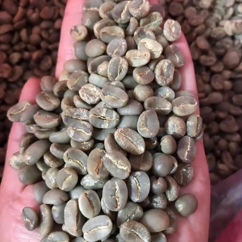60kg Jute Bag Green Arabica Coffee Beans Sceen 16/18 From Best Coffee In Vietnam