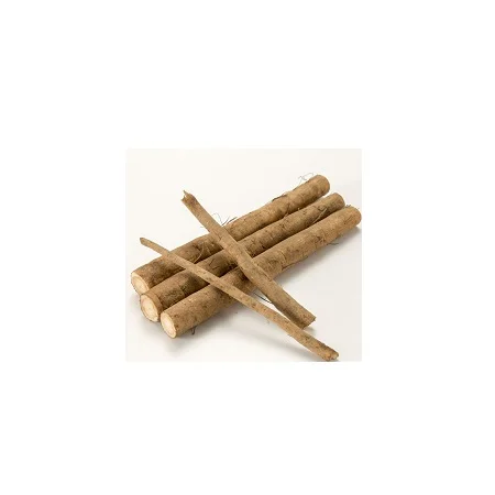 Wholesale fresh burdock