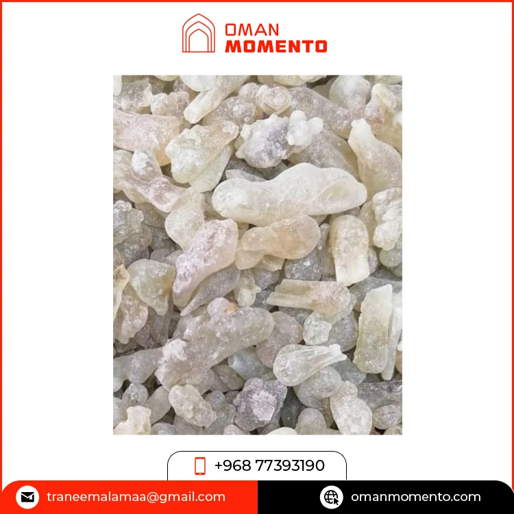 Superb Quality Highest Selling Exotic Religious Aromatic Use Best House Fragrance Oman Loban / Frankincense Resin for Dhoop